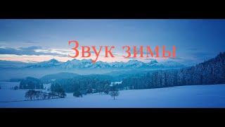 ЗИМНИЙ ЛЕС (ЗИМА, МЕТЕЛЬ, ВЕТЕР, СНЕГ) VIDEO 8K.