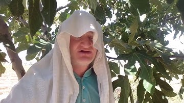 عامر جبو سورة الضحى