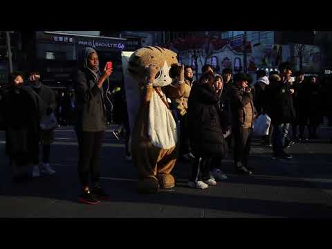 JHKTV] shin chon special cat &amp;amp;Sogang University <strong>Nongak</strong> Club 신촌 명물고양이 와 서강대 농악동아리