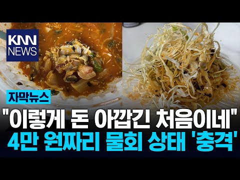 4만 원짜리 <strong>물회</strong> 시켰더니...&amp;quot;양배추만 가득, 돈 아깝다&amp;quot; / KNN
