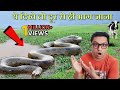 इनको देखकर आपकी साँस रुक जाएगी  Biggest snake in the world - Duniya ke sabse bade saap in hindi