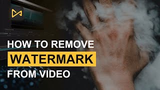 How to Remove Watermark from Video 2021 [3 Ways] screenshot 5