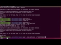 MySQL Backup mit Bash Script selbst erstellen
