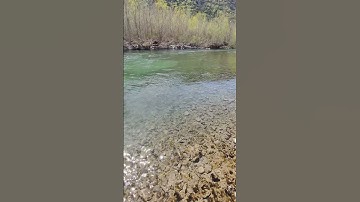 Thumbnail of RIO SUPER CRISTALINO PERFECTO PARA DISTRAERSE PUENTE LA REINA-HUESCA-ESPAÑA #naturaleza #rios