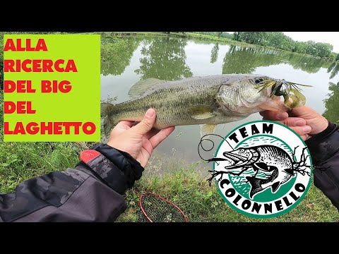 Vermoni Artificiali In Gomma Per Pesca Spinning – Vibro Worm Per Black Bass, Persico, Trota - Foto 3