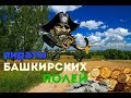 Коп 5.Башкирия.Редкая монета и крутой перстень!Пираты Башкирских полей.