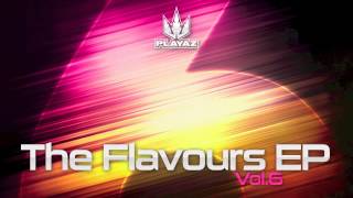 Various Artists - The Flavours EP, Vol. 6 - Playaz Recordings