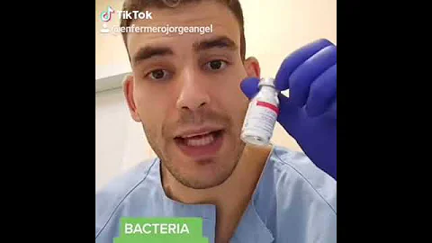 ¿Qué bacteria es similar a la sífilis?