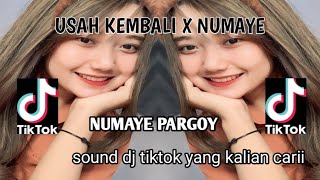 DJ NUMAYE  X USAH KEMBALI PARGOY VIRAL TIKTOK