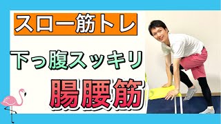 【シニア向けトレーニング】ウエスト引き締め、腰痛改善骨盤周囲の問題を解消する腸腰筋筋トレ