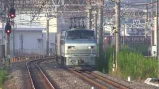 JR貨物 （遅延列番不明） EF66 120牽引 コンテナ貨物列車