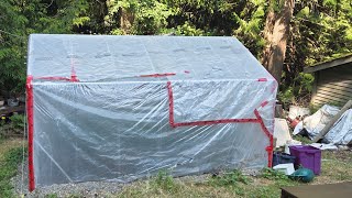 GREENHOUSE CANNABIS UPDATE GROWING CANNABIS IN BEAUTIFUL BRITISH COLUMBIA CANADA 🇨🇦 