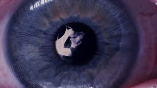 What's In The Eye - Grey Daze (Traduzione Ita)