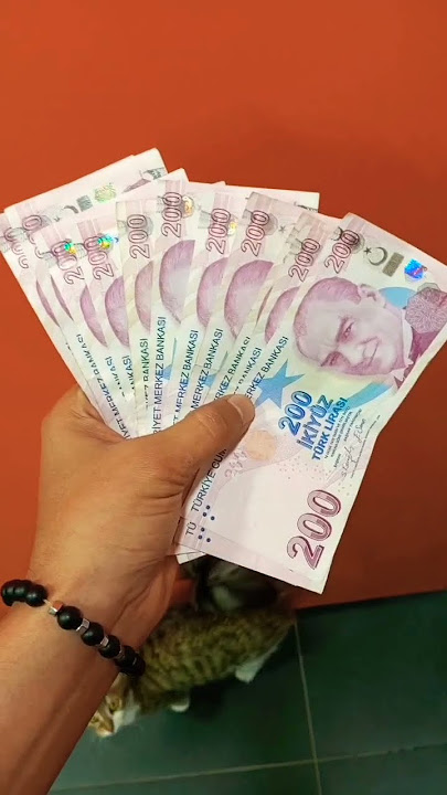 100 Dolar $ Kaç Para ₺ ? - GÜNCEL DOLAR KURU USD / TRY | ATD TEKNOLOJİ