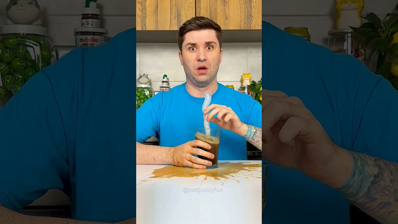 Глупый мужик #😅😅кошки 