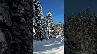 Incredible Snow Covered View. Scenic Driving in Snowy South Lake Tahoe
