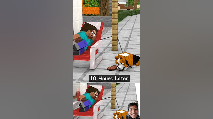 When Steve And His Dog Don'T Give Away To Each Other 😂️