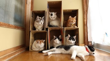 うずまきLIVE配信？　放置？　　2025年10月26日