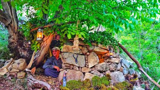 SOLO SURVIVAL CAMPING - Building BUSHCRAFT STONE SHELTER with FIREPLACE. Outdoor Cooking