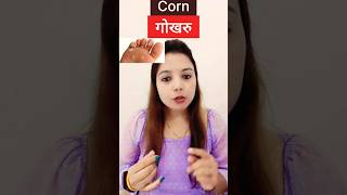 Corn । गोखरु । Homeopathic Treatment for Corn । shortvideo shorts