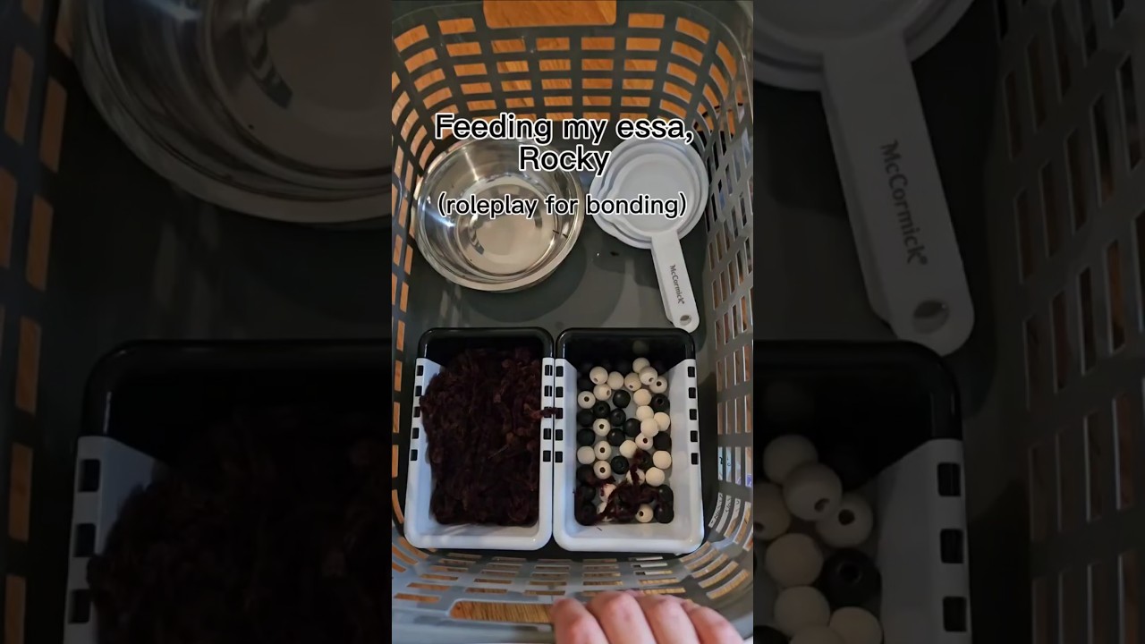 Feed Rocky for bonding with me! 