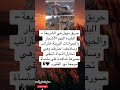 حريق الشريعة نار أحرقت الغابة وأرواحها البريئة 