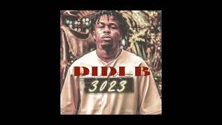 Didi B - 3023 (Audio by knlow)