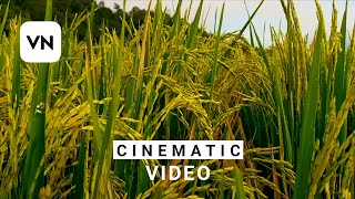 Cinematic video 30 detik story wa lagu play date