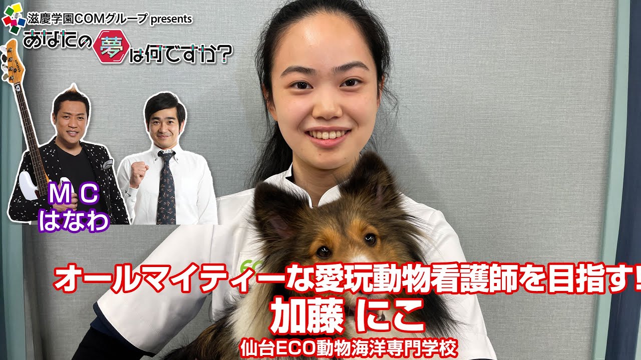What is your dream?