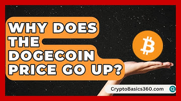 Why Does the Dogecoin Price Go Up? | CryptoBasics360 News