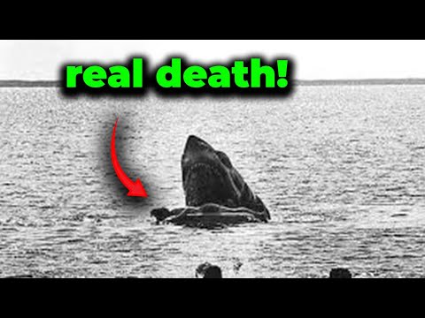 Jaws Deleted Scenes That Were Too Controversial for 1975
