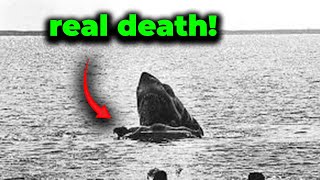Jaws Deleted Scenes That Were Too Controversial for 1975