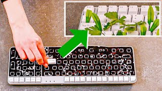 園芸家は知っている優れた植物のライフハック11選