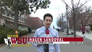Violence Prevention at WSU