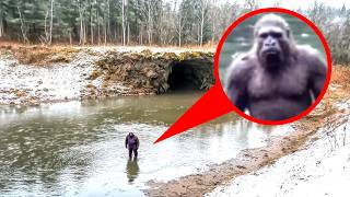 This NEW Bigfoot Evidence Might End The Debate Once And For All!