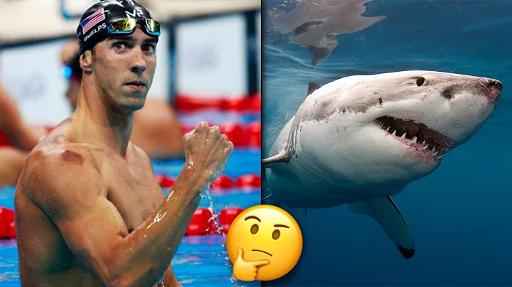 Michael Phelps "Ui Kilpaa" Valkohaita Vastaan? Mic...