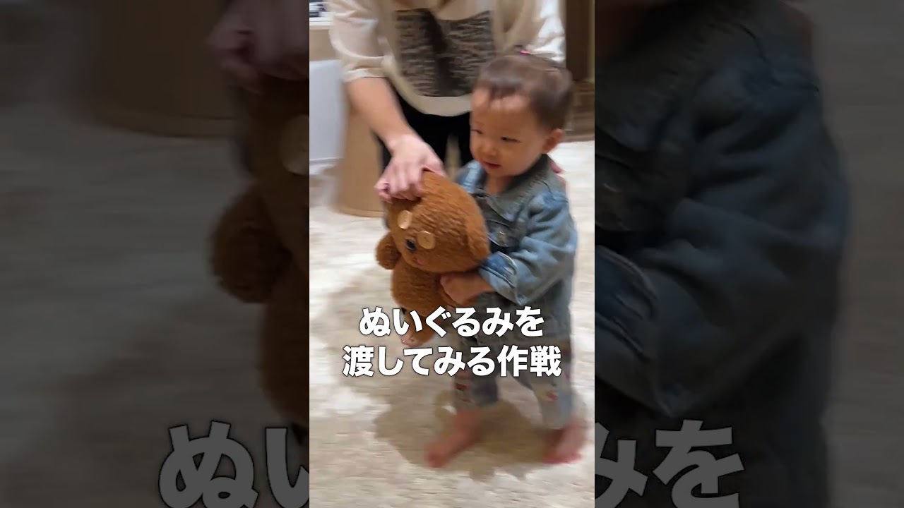 【ドッキリ】ミニぎしの目の前に大好きなぬいぐるみが現れて急に動き出したらどんな反応をするのか