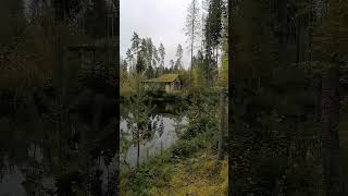 На берегу озера Долгое турбаза Ильичево #красота #топ #прогулки #путешествие #Питер #дача #природа
