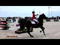 Horse show jumping falls compilation