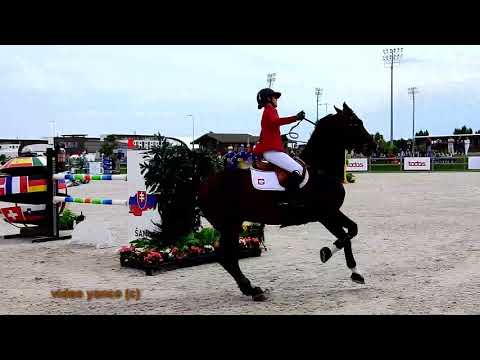 horse-show-jumping-falls-compilation