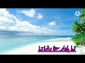 پشتو شعر وشاعری دہ حافظ بدری ولی زمان او فقیر محمد درویش شعرونہ 