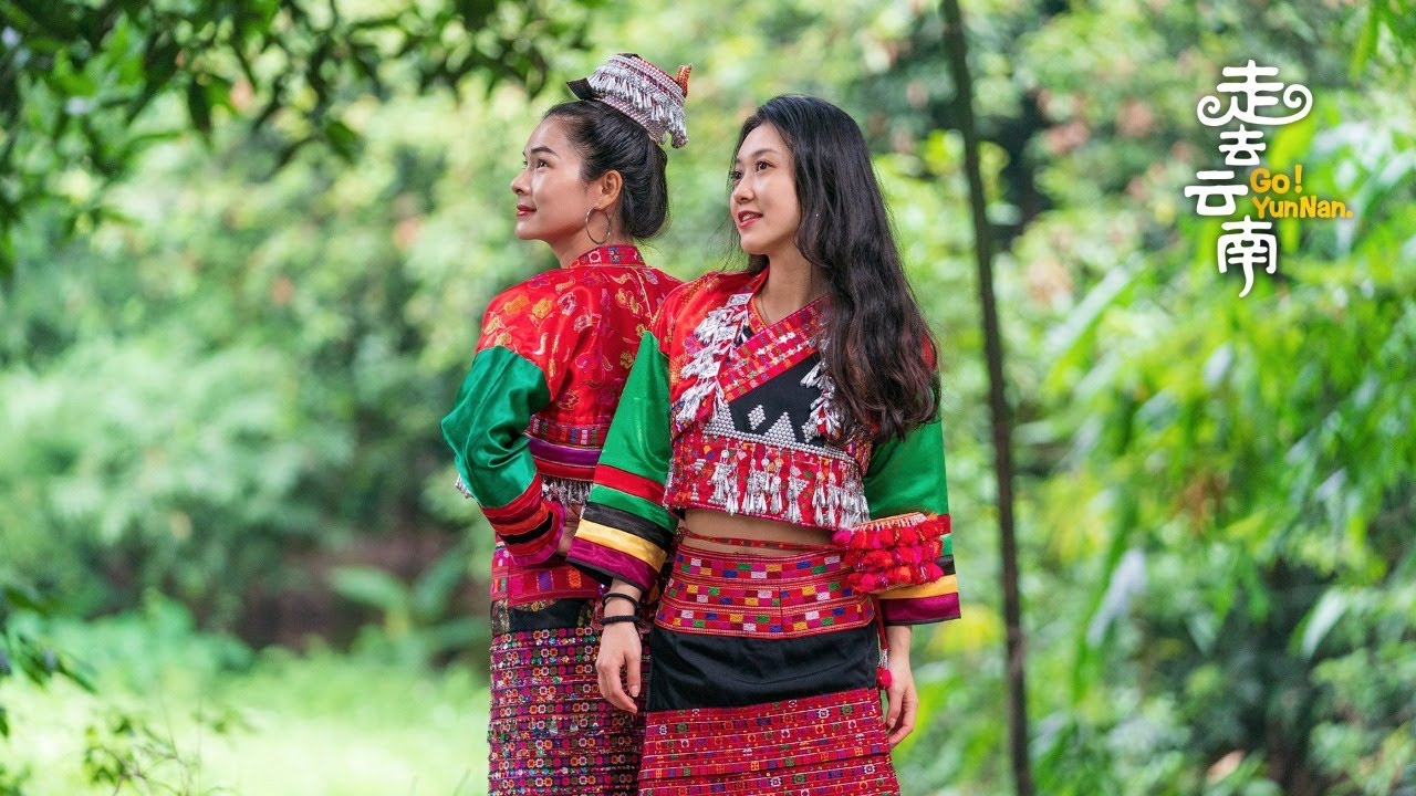 Live: Meet the descendants of ancient Dian Kingdom in SW China 漫游古神树林 ...