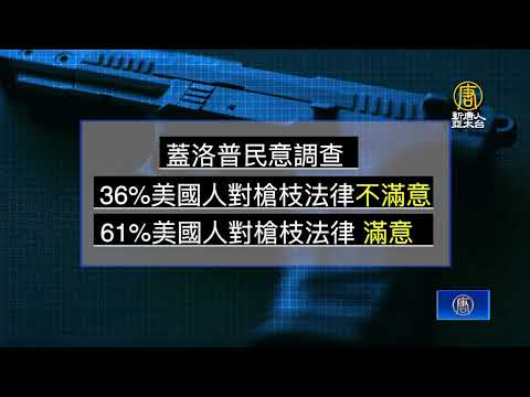 调查：绝大多数美国人不赞成限缩拥枪权