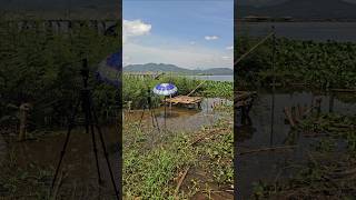 Download Lagu baru beres bikin ranghon campfishinv kbc MP3