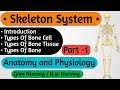 Skeletal System Anatomy and Physiology Nursing || Anatomy and Physiology For Nursing Student