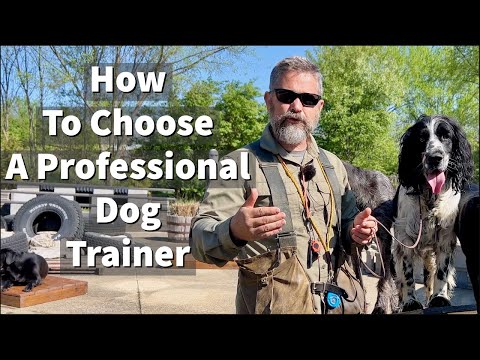 Video: Hoe een Dog Trainer kiezen