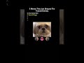 5 Memes That Just Skipped The Tutorial Entirely #darkbrainrot #maincharacter #contentcreator