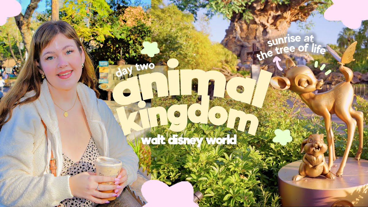 Solo in Walt Disney World 🏰 Beautiful Animal Kingdom during Sunrise