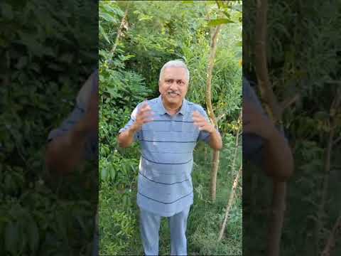 செந்தில் பாலாஜி நெஞ்சுவலி நாடகம்