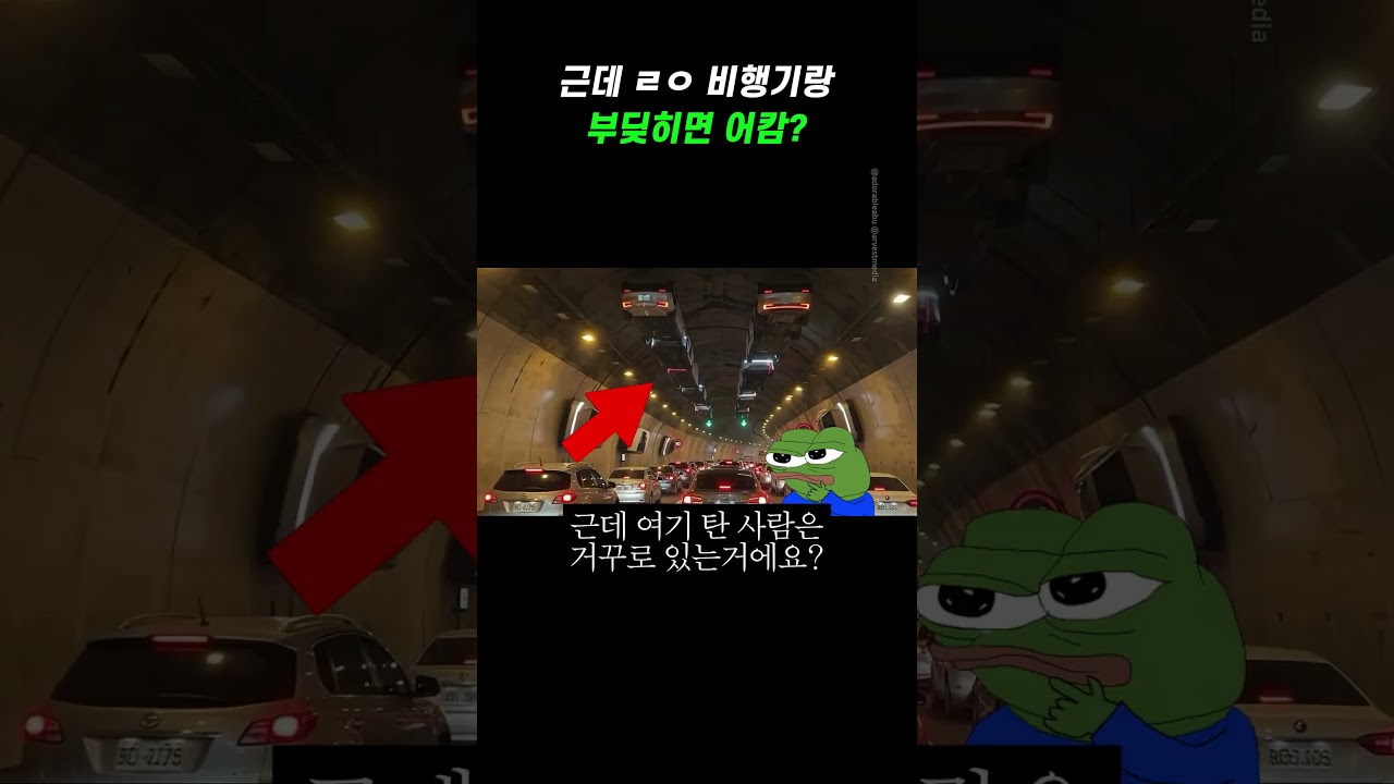 근데 ㄹㅇ 비행기랑 부딪히면 어캄?